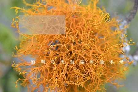 逾期几天就轰炸通讯录 逾期几天就轰炸通讯录