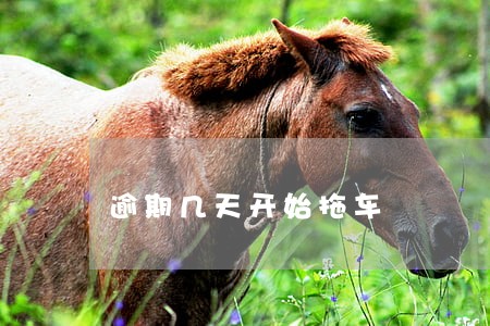 逾期几天开始拖车 逾期几天开始拖车