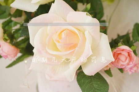 逾期几天开始罚息 逾期几天开始罚息
