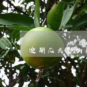 逾期几天影响买房 逾期几天影响买房