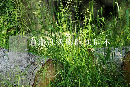 逾期几天影响买房不 逾期几天影响买房不