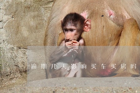 逾期几天影响买车买房吗 逾期几天影响买车买房吗