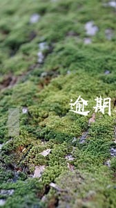 逾期几天征信多久恢复 逾期几天征信多久恢复