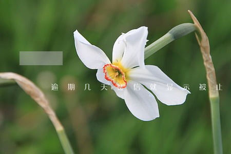 逾期几天征信就显示被止付了 逾期几天征信就显示被止付了
