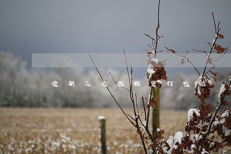 逾期几天微粒贷打电话 逾期几天微粒贷打电话