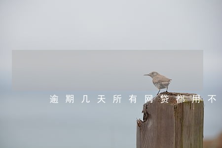 逾期几天所有网贷都用不了 逾期几天所有网贷都用不了