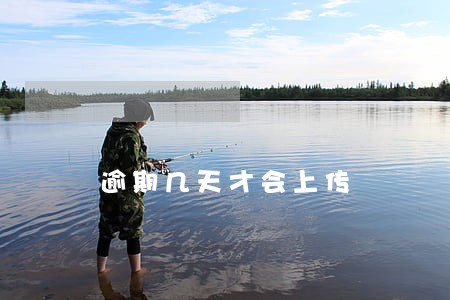 逾期几天才会上传 逾期几天才会上传