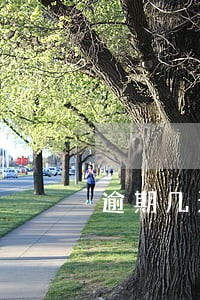 逾期几天才会被报失信 逾期几天才会被报失信
