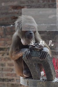 逾期几天担保人征信受影响吗 逾期几天担保人征信受影响吗