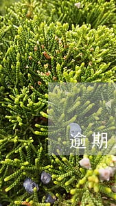 逾期几天担公司可以取车么 逾期几天担公司可以取车么
