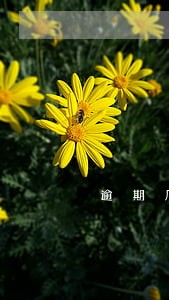逾期几天支付房租 逾期几天支付房租