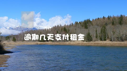 逾期几天支付租金