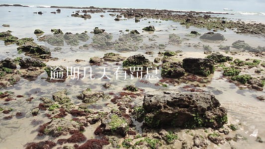 逾期几天有罚息 逾期几天有罚息