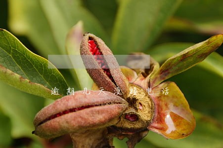 逾期几天没接电话 逾期几天没接电话