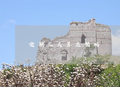 逾期几天算老赖吗 逾期几天算老赖吗