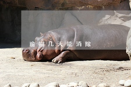 逾期几天能消除 逾期几天能消除