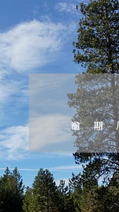 逾期几天被立案 逾期几天被立案