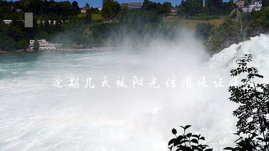 逾期几天被阳光信用保证保险代偿 逾期几天被阳光信用保证保险代偿