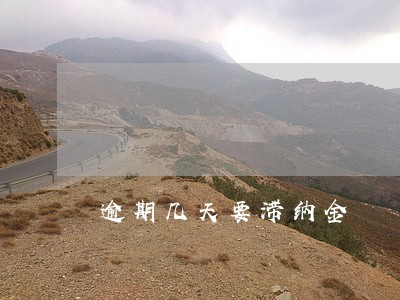 逾期几天要滞纳金