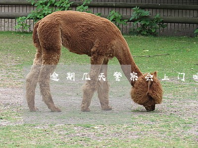 逾期几天警察会上门吗 逾期几天警察会上门吗