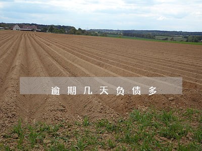 逾期几天负债多 逾期几天负债多