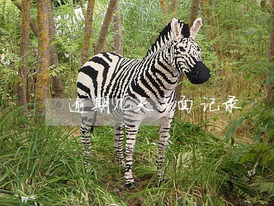 逾期几天负面记录 逾期几天负面记录
