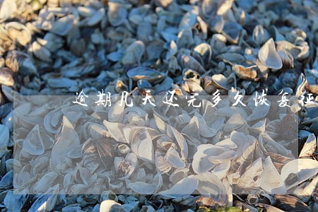逾期几天还完多久恢复征信 逾期几天还完多久恢复征信