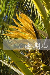 逾期几天还款会影响信用吗 逾期几天还款会影响信用吗