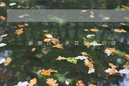 逾期几天还款影响信贷 逾期几天还款影响信贷