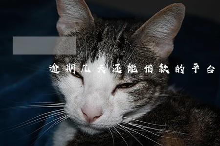 逾期几天还能借款的平台 逾期几天还能借款的平台