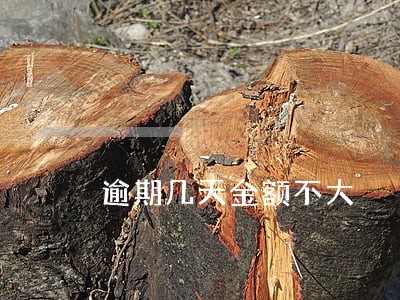 逾期几天金额不大 逾期几天金额不大