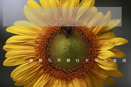 逾期几天银行卡可以冻结