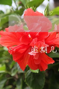 逾期几天银行要求我还清全款 逾期几天银行要求我还清全款