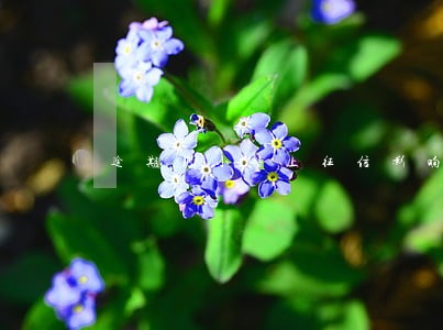 逾期几小时上征信影响大吗 逾期几小时上征信影响大吗