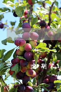 逾期几小时会不会上征信 逾期几小时会不会上征信