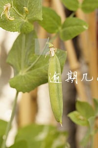 逾期几小时对身体有什么影响 逾期几小时对身体有什么影响
