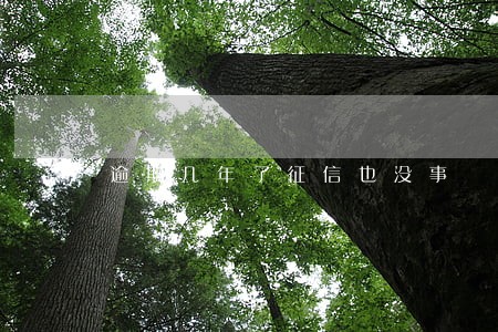 逾期几年了征信也没事 逾期几年了征信也没事