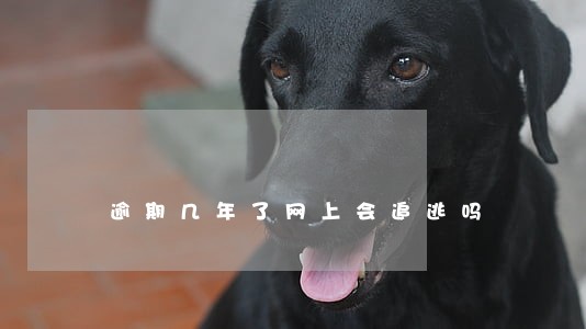 逾期几年了网上会追逃吗