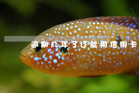逾期几年了还能用信用卡吗 逾期几年了还能用信用卡吗