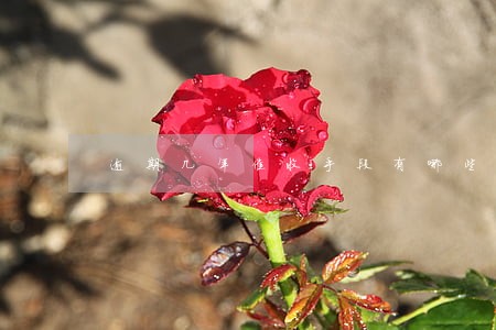 逾期几年催收手段有哪些 逾期几年催收手段有哪些