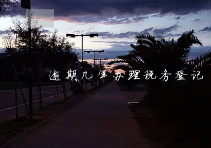 逾期几年办理税务登记 逾期几年办理税务登记
