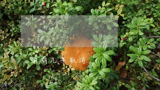 逾期几年取消 逾期几年取消