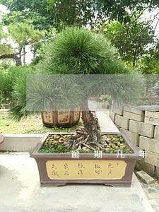 逾期几年可以消除记录吗 逾期几年可以消除记录吗
