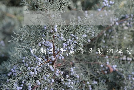 逾期几年后再还影响征信吗 逾期几年后再还影响征信吗