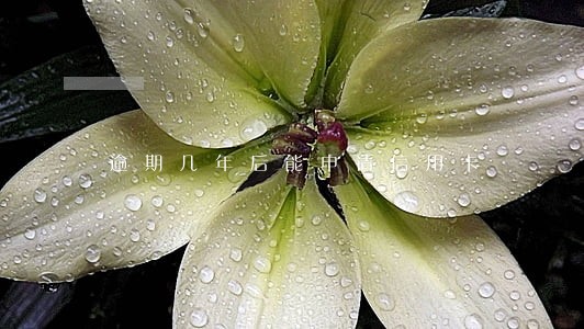 逾期几年后能申请信用卡 逾期几年后能申请信用卡