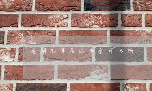 逾期几年后还本金可以吗 逾期几年后还本金可以吗