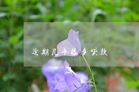 逾期几年很多贷款 逾期几年很多贷款