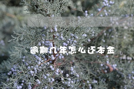 逾期几年怎么还本金 逾期几年怎么还本金