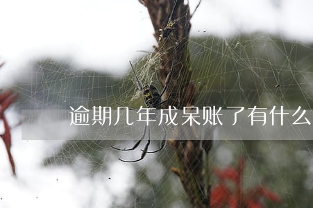 逾期几年成呆账了有什么影响 逾期几年成呆账了有什么影响