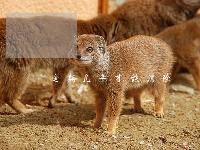 逾期几年才能消除 逾期几年才能消除
